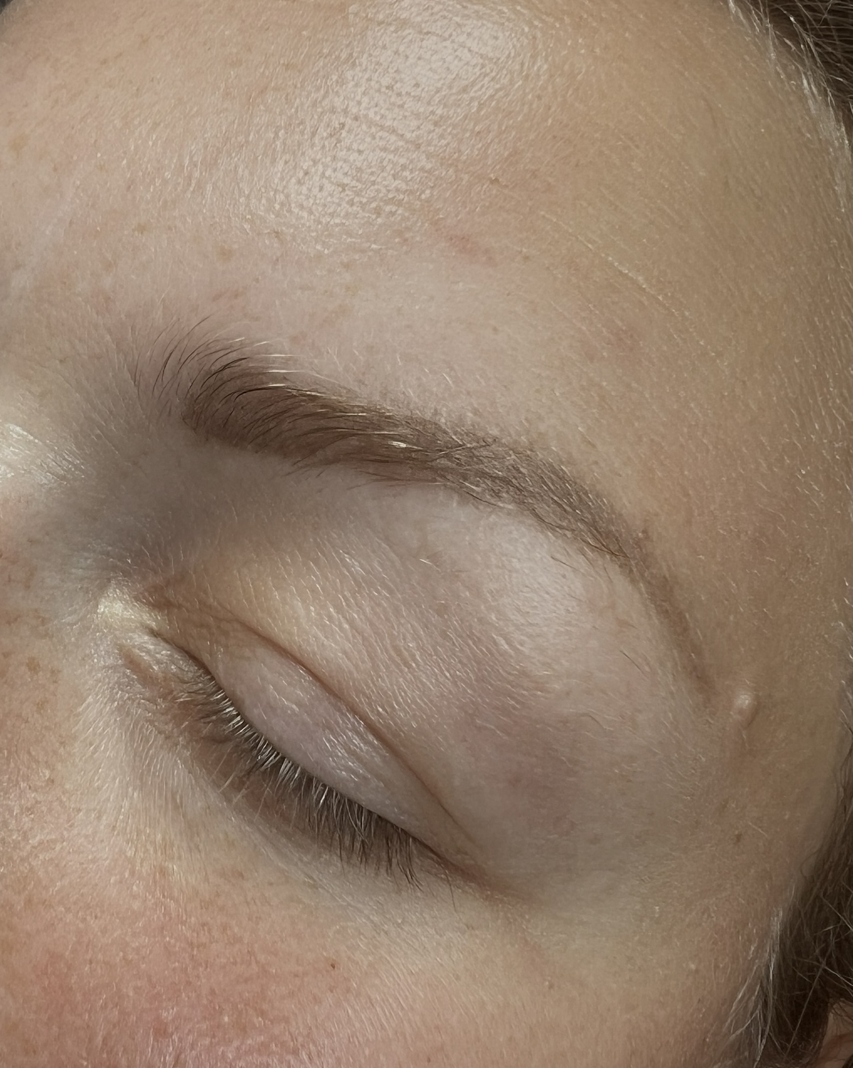 Powderbrows